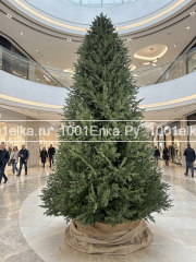 Финская люкс, 3 метра
